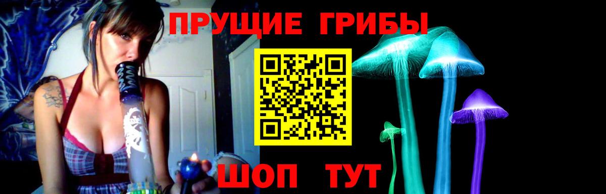 где купить   Галлюциногенные грибы ЛСД  Псилоцибиновые грибы ЛСД  Вход с VPN  Кировск 